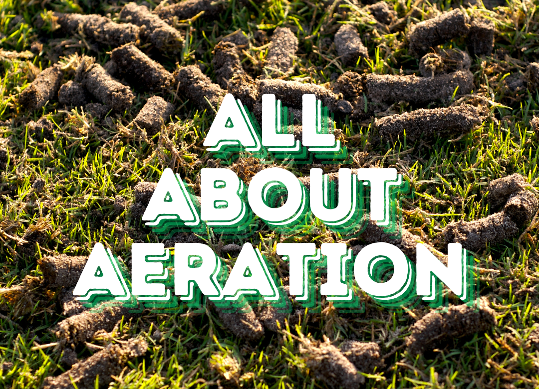 All About Aeration