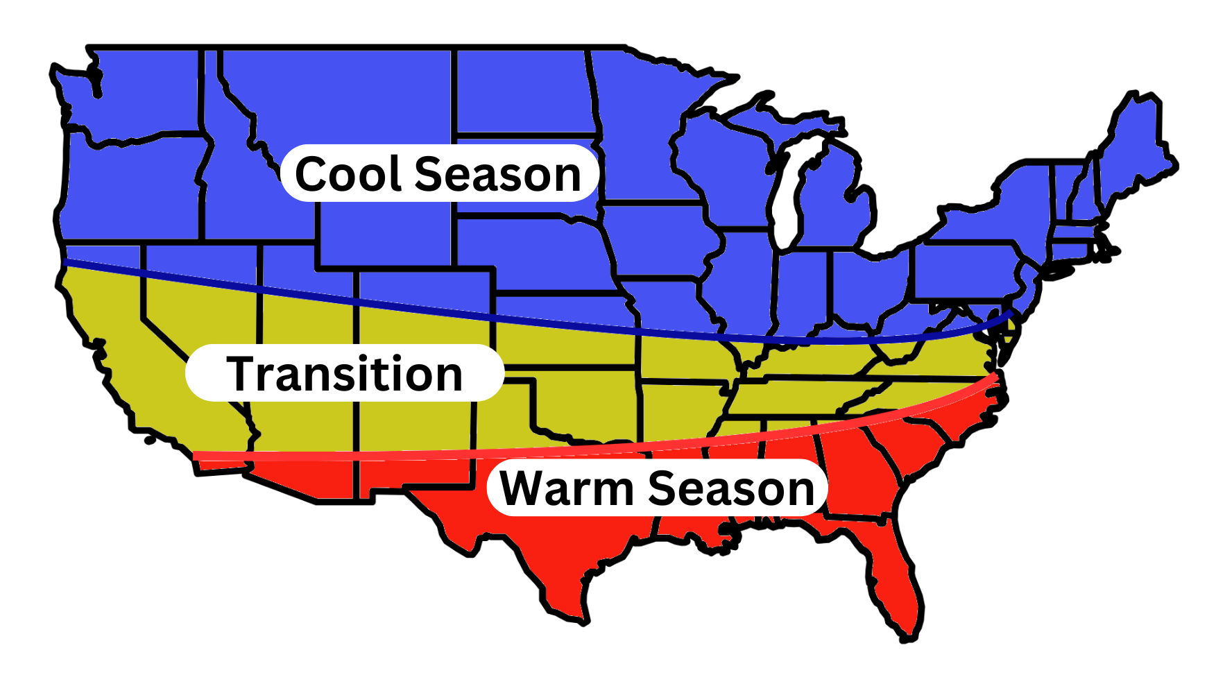 Cool vs Warm Season Grass