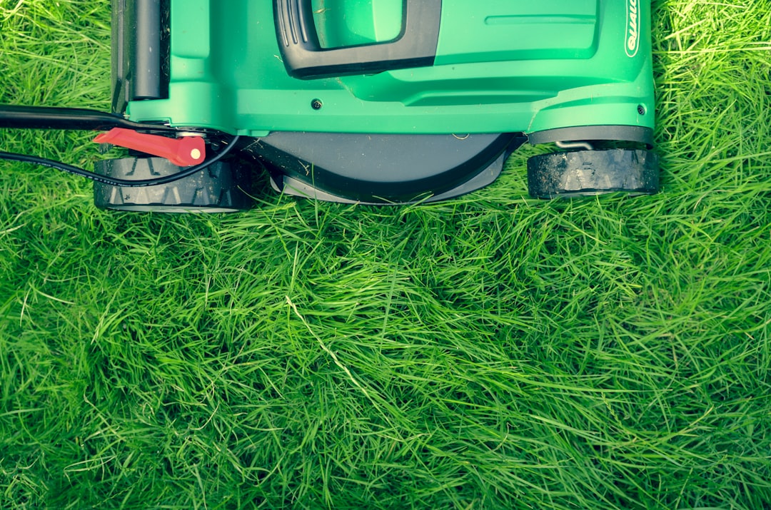 The Ultimate Guide to Mowing