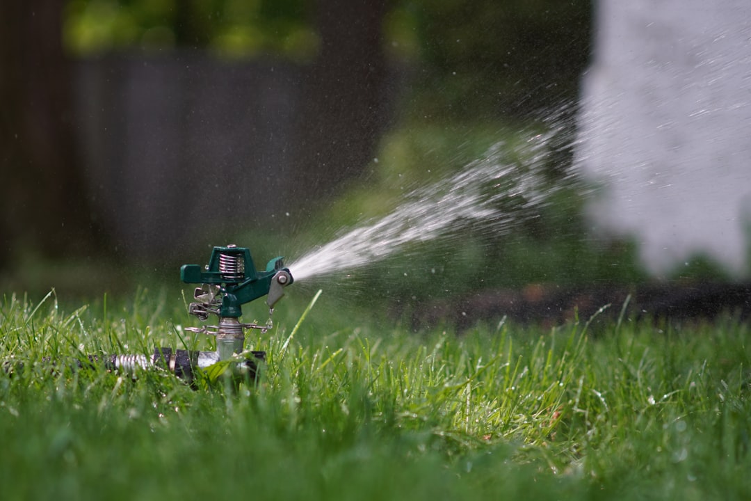 Watering: The Most Important Factor for a Green Lawn